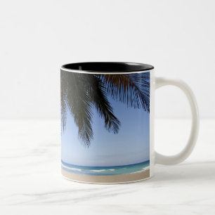 Caneca De Café Em Dois Tons Palmeira ao longo do mar das caraíbas