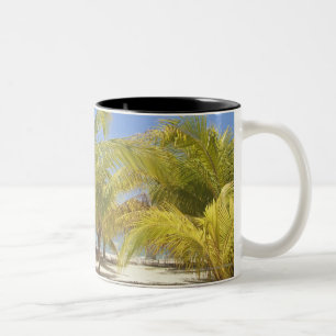 Caneca De Café Em Dois Tons Palmeiras em uma praia branca da areia de Honduras