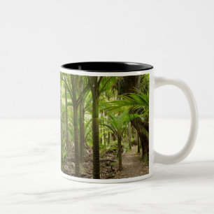 Caneca De Café Em Dois Tons Palmeiras Nikau, Heaphy Track, perto de Karamea,