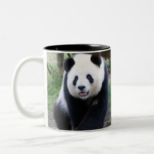 Caneca De Café Em Dois Tons Panda_20190301_by_JAMFoto