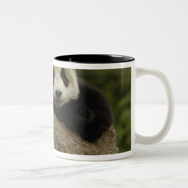 Caneca De Café Em Dois Tons Panda baby gigante Ailuropoda melanoleuca) (Direita)