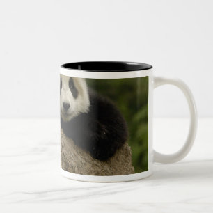 Caneca De Café Em Dois Tons Panda baby gigante Ailuropoda melanoleuca) 7