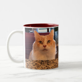 Caneca De Café Em Dois Tons Pão-de-espécie pedindo Latte do gato do gengibre