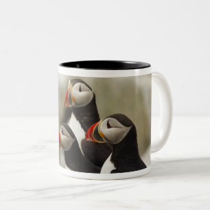 Caneca De Café Em Dois Tons Papagaios-do-mar no Machias Seal Island