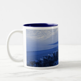 CANECA DE CAFÉ EM DOIS TONS PAPAIS NOEIS MONICA BLUE MUG