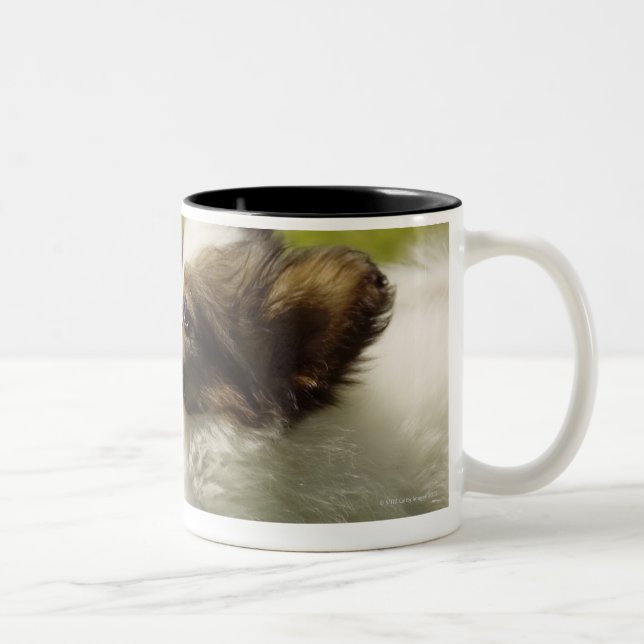 Caneca De Café Em Dois Tons Papillon 2 (Direita)