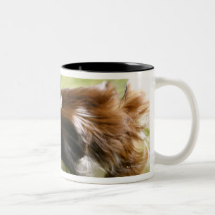 Caneca De Café Em Dois Tons Papillon de funcionamento