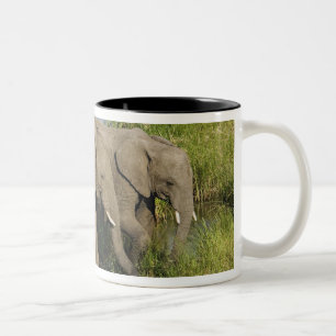 Caneca De Café Em Dois Tons Par de Elefantes Africanos Masai Mara