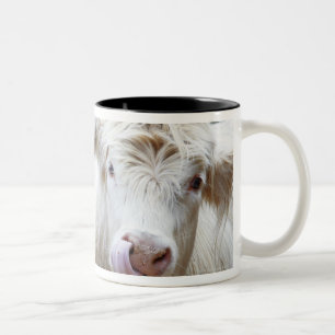 Caneca De Café Em Dois Tons Pares de vacas brancas novas no reboque de