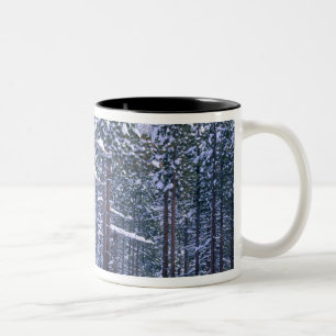 Caneca De Café Em Dois Tons PARQUE ESTADUAL DO LAGO TAHOE, NEVADA. EUA. Neve f