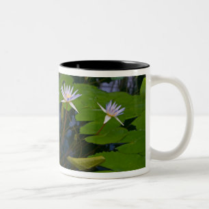 Caneca De Café Em Dois Tons Parque Golden Gate de São Francisco Califórnia e