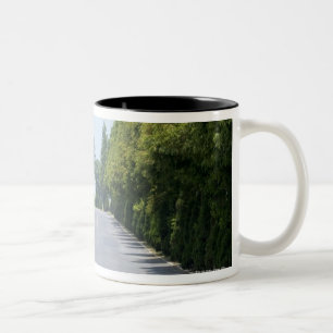 Caneca De Café Em Dois Tons Parque nacional dos EUA, Yellowstone, estrada