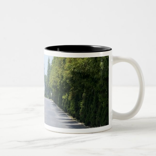 Caneca De Café Em Dois Tons Parque nacional dos EUA, Yellowstone, estrada (Direita)