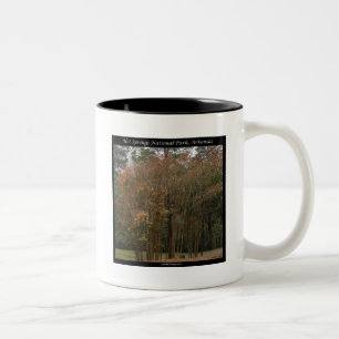 Caneca De Café Em Dois Tons Parque Nacional dos Quentes-Primaveras, AR acima d