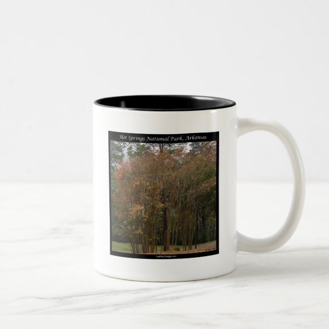 Caneca De Café Em Dois Tons Parque Nacional dos Quentes-Primaveras, AR acima d (Direita)