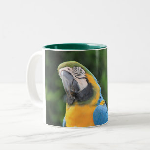 Caneca De Café Em Dois Tons Parrot Mug