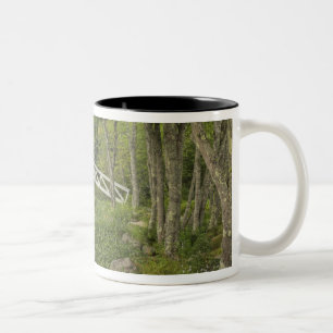 Caneca De Café Em Dois Tons Passarela branca, Somesville, Mont Desert
