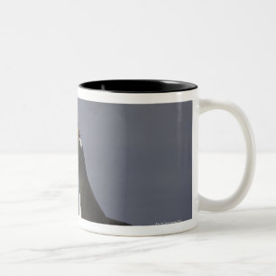 Caneca De Café Em Dois Tons Pássaro adulto do pinguim de Gentoo (Pygoscelis