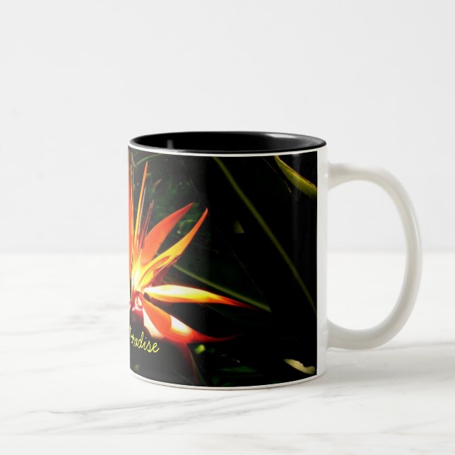 Caneca De Café Em Dois Tons Pássaro do Paraíso (Direita)