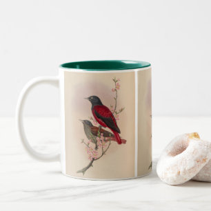 Caneca De Café Em Dois Tons Pássaro vermelho Oriole por John Gould