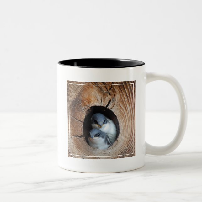 Caneca De Café Em Dois Tons Pássaros de bebê (Direita)