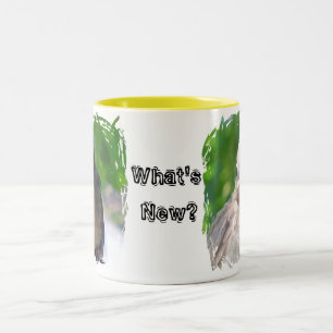 Caneca De Café Em Dois Tons Pássaros um Twitter