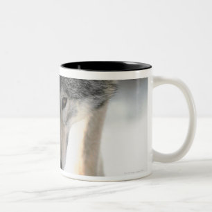 Caneca De Café Em Dois Tons Passeio do lobo cinzento