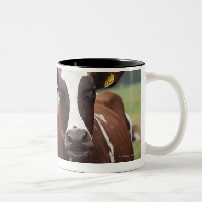Caneca De Café Em Dois Tons Pastando vacas (Direita)