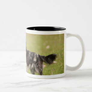 Caneca De Café Em Dois Tons Pastor pirenaico na pose alerta que espera