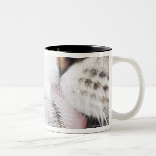 Caneca De Café Em Dois Tons Pata da limpeza do gato, fim-acima (Direita)