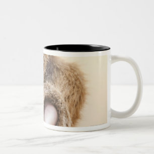 Caneca De Café Em Dois Tons Pata do tigre