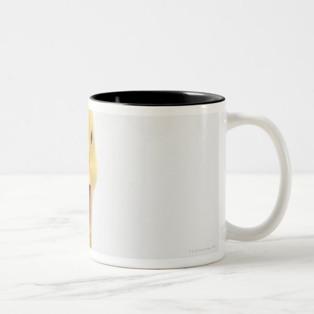 Caneca De Café Em Dois Tons Patinho (Direita)