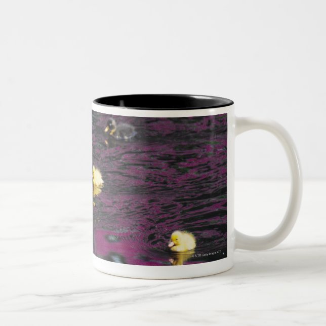Caneca De Café Em Dois Tons patinhos (Direita)