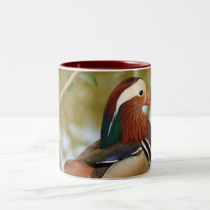 Caneca De Café Em Dois Tons Pato de mandarino