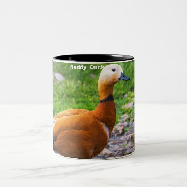 Caneca De Café Em Dois Tons Pato-rústico (Centro)