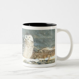 Caneca De Café Em Dois Tons Pausa nevado
