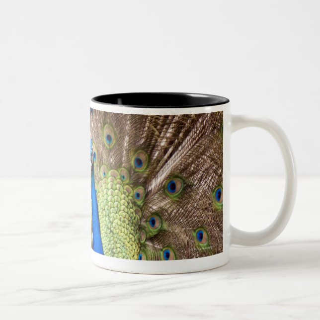 Caneca De Café Em Dois Tons Pavão que indica a plumagem (Direita)