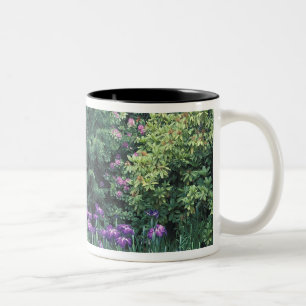 Caneca De Café Em Dois Tons Pavilhão de madeira no Sunken Garden em