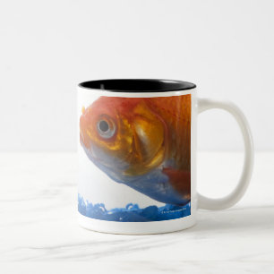 Caneca De Café Em Dois Tons Peixe dourado na bacia no fundo branco
