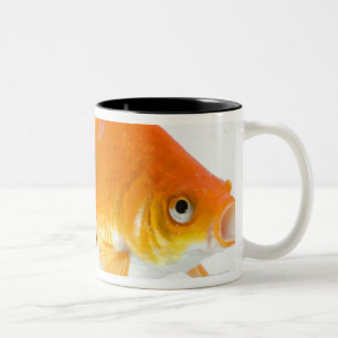 Caneca De Café Em Dois Tons Peixe dourado no fundo branco