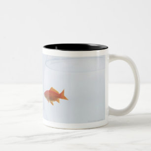 Caneca De Café Em Dois Tons Peixe dourado nos fishbowls separados que olham a