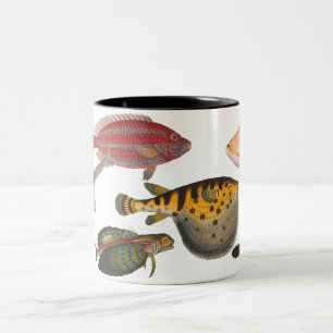 Caneca De Café Em Dois Tons Peixes