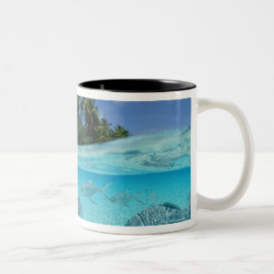 Caneca De Café Em Dois Tons Peixes no mar