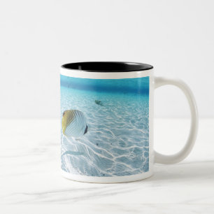 Caneca De Café Em Dois Tons Peixes no mar 2