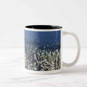 Caneca De Café Em Dois Tons Peixes que nadam sobre o recife inoperante