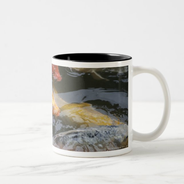 Caneca De Café Em Dois Tons Peixes tímidos (Direita)