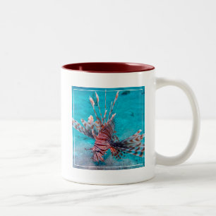 Caneca De Café Em Dois Tons Peixes vermelhos bonitos do leão