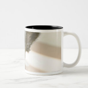 Caneca De Café Em Dois Tons Peki-Francês