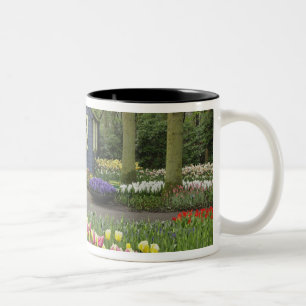Caneca De Café Em Dois Tons Pequena loja de flores de cottage, Jardins Keukenh
