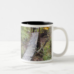 Caneca De Café Em Dois Tons Pequena ponte pendente, Patrimônio Nacional do Car